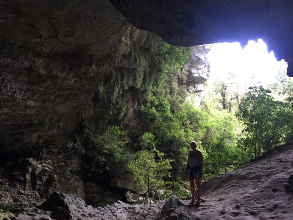 Neuseeland - Oparara River - 