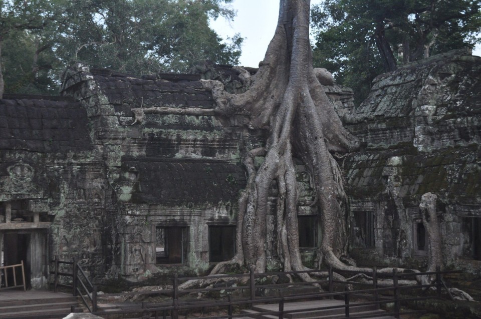 Kambodscha - Siem Reap - 