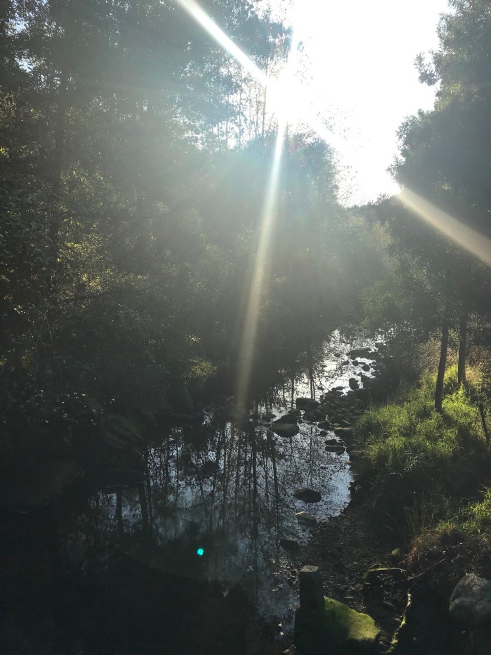 Spanien - Pontevedra - 