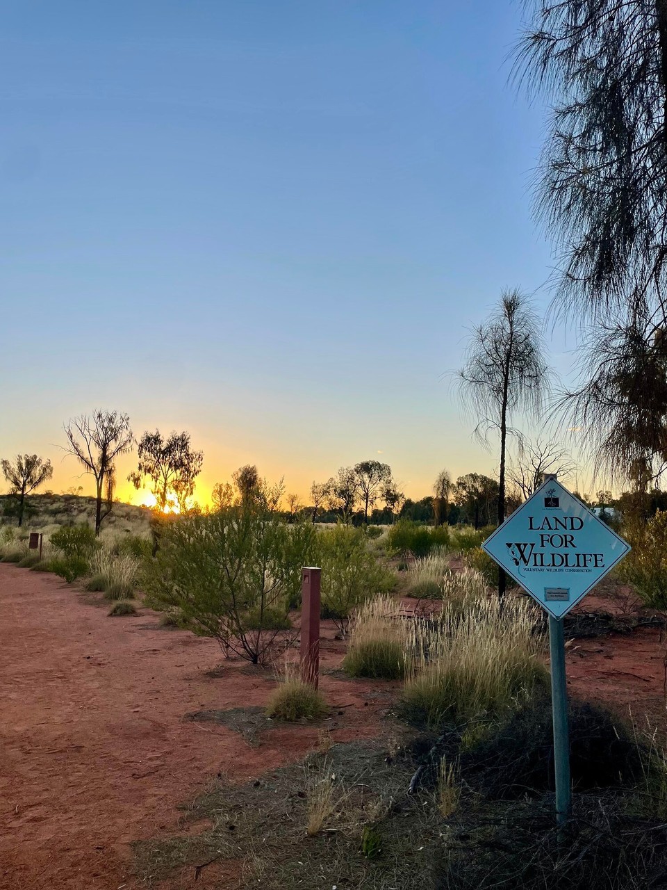 Australien - Yulara - D’Outbacks z’Fuess🚶‍♀️ 