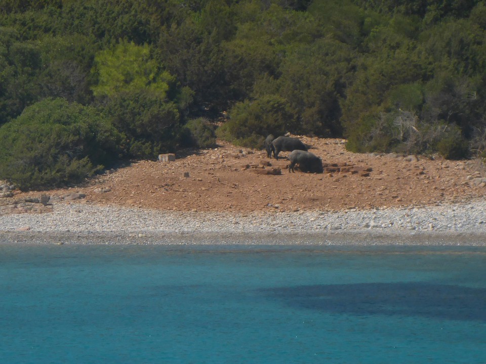 Türkei - Bodrum - 