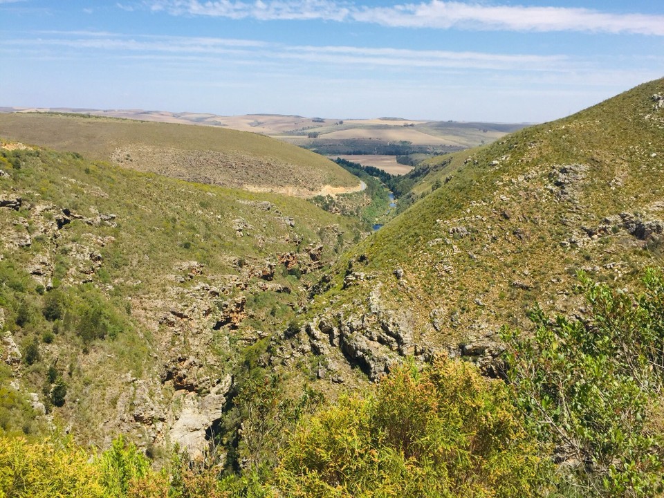 Südafrika -  - 