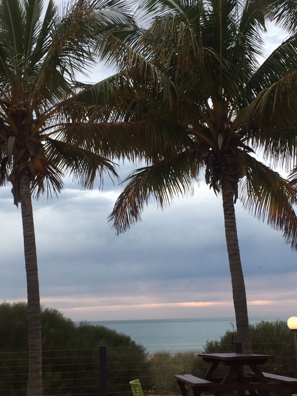 Australien - Monkey Mia - Blick vom Abendessen 😍🏝