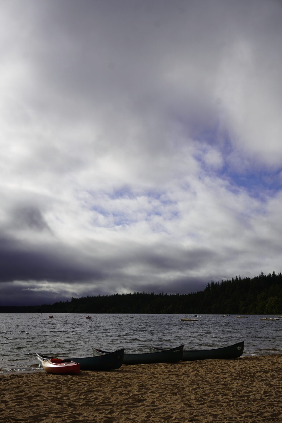 Vereinigtes Königreich - Aviemore - 