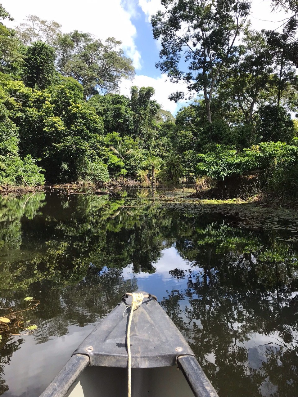 Costa Rica - San Carlos - 