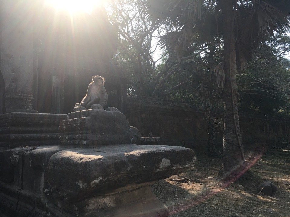Cambodia - Siem Reap - 
