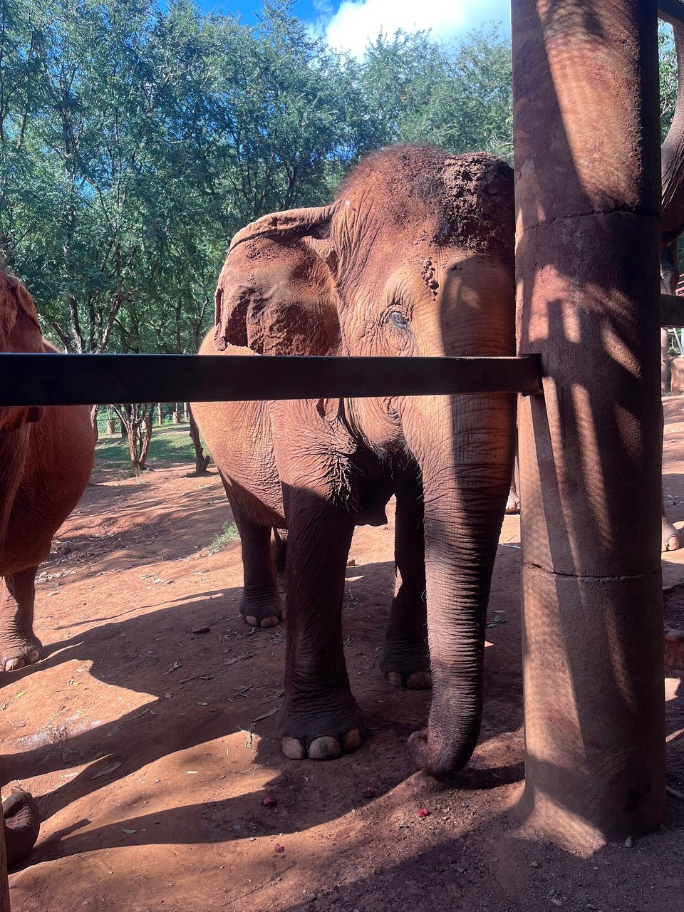 Thailand - Mueang Chiang Mai - 