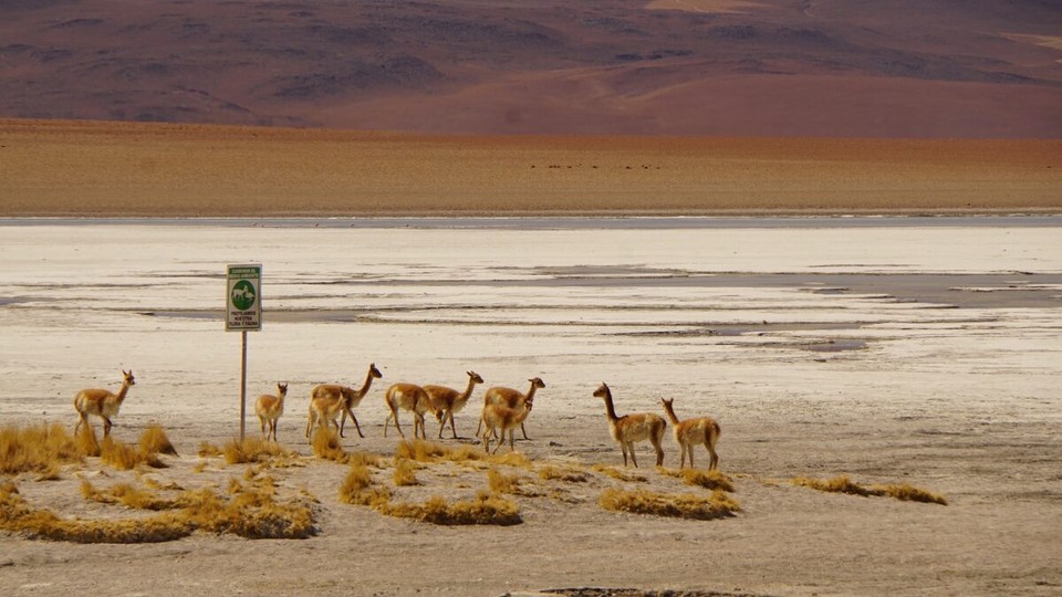 Chile - San Pedro de Atacama - 