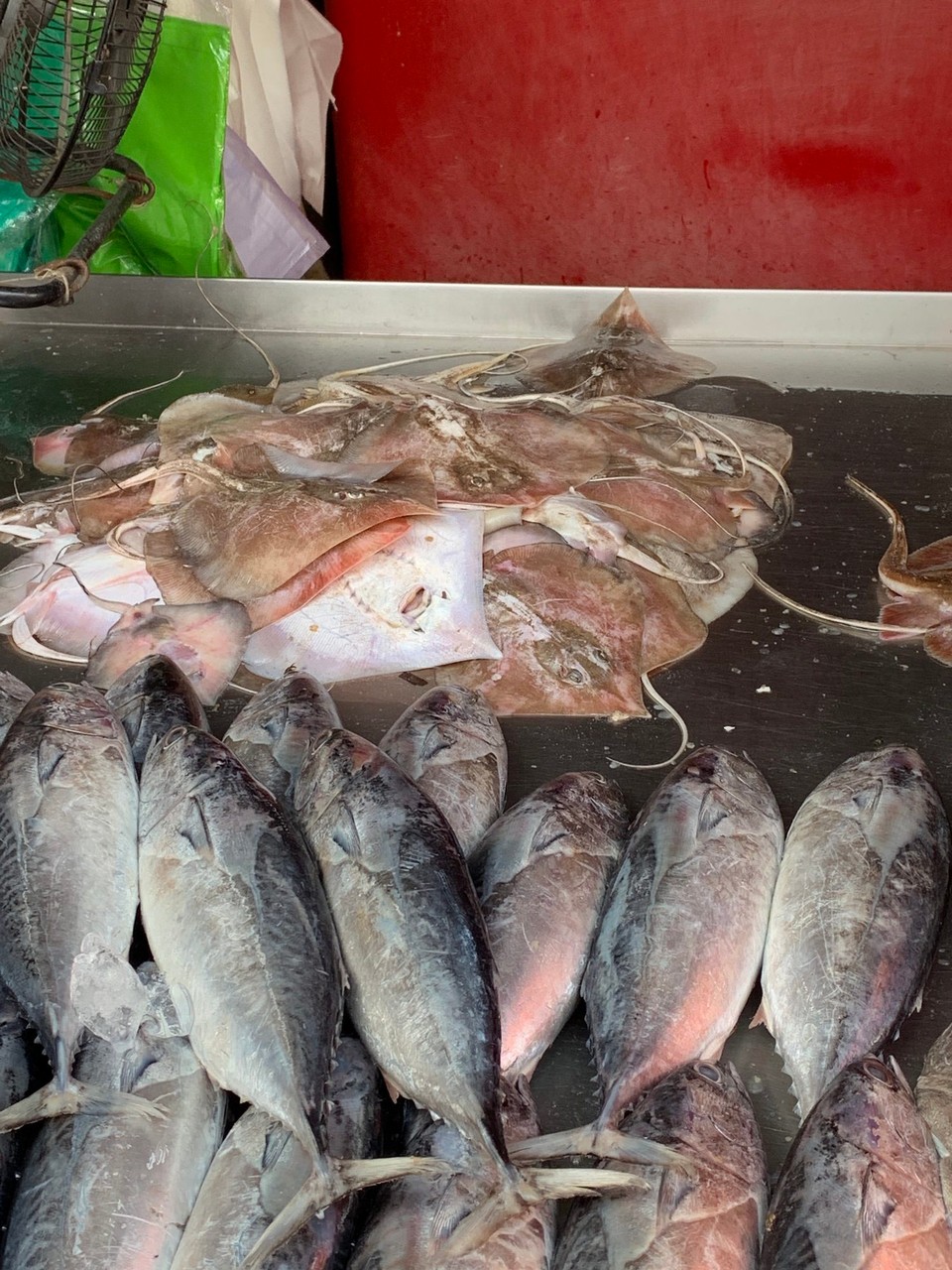 Thailand - Bangkok - 