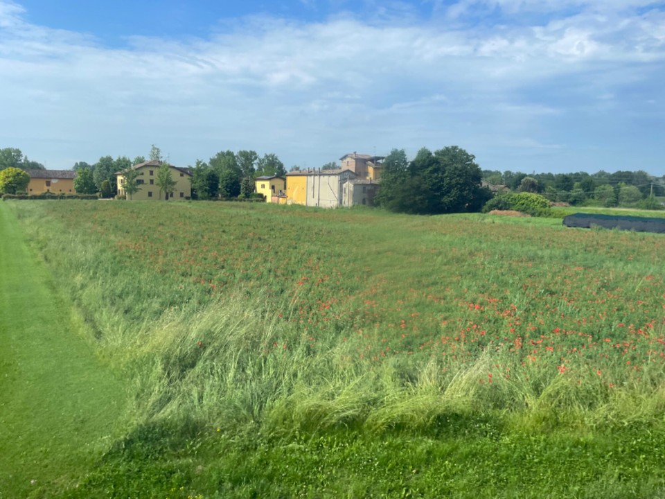 USA - Denver - Italien - Emilia Romagna