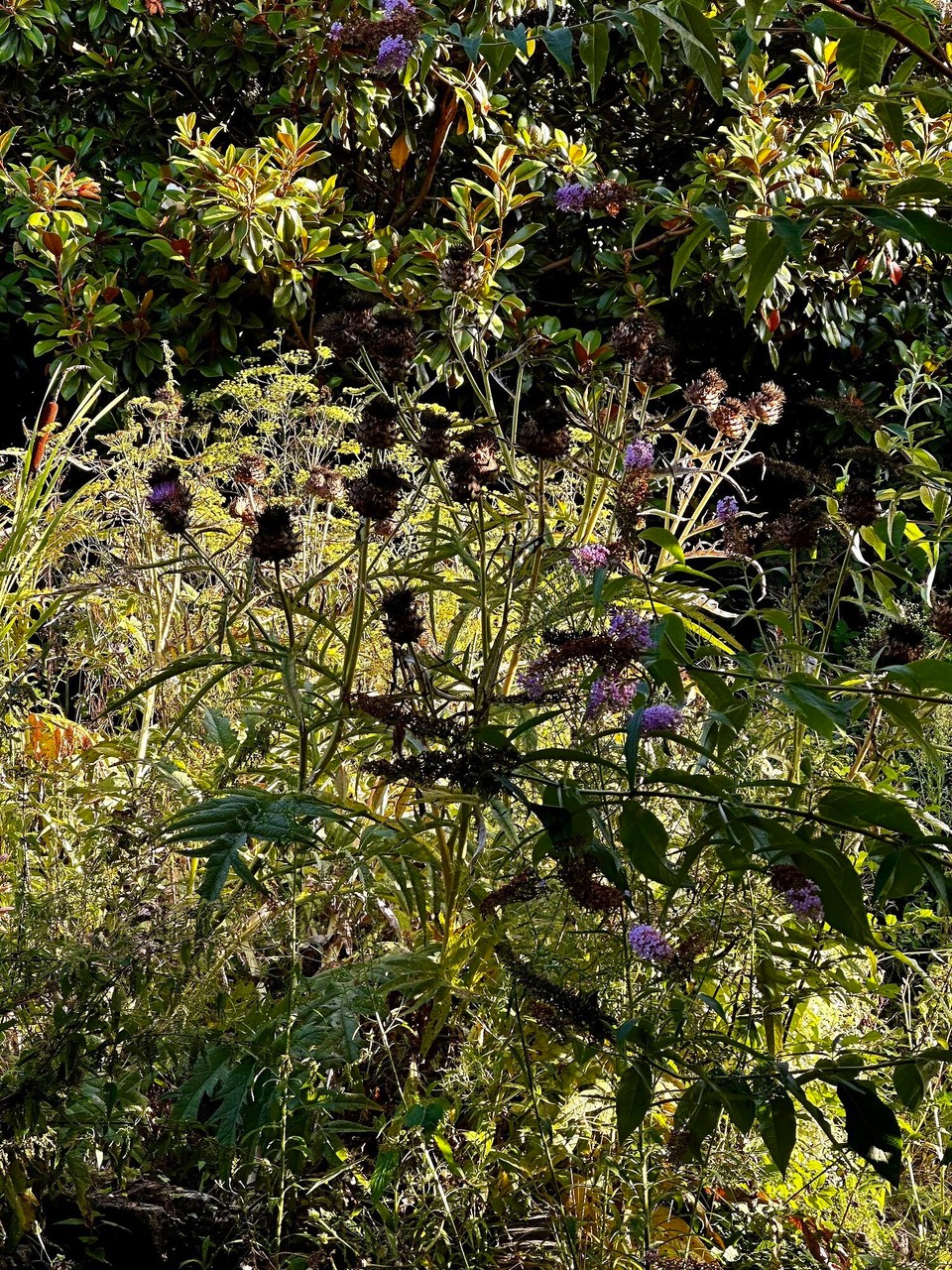 Frankreich - Landaul - 