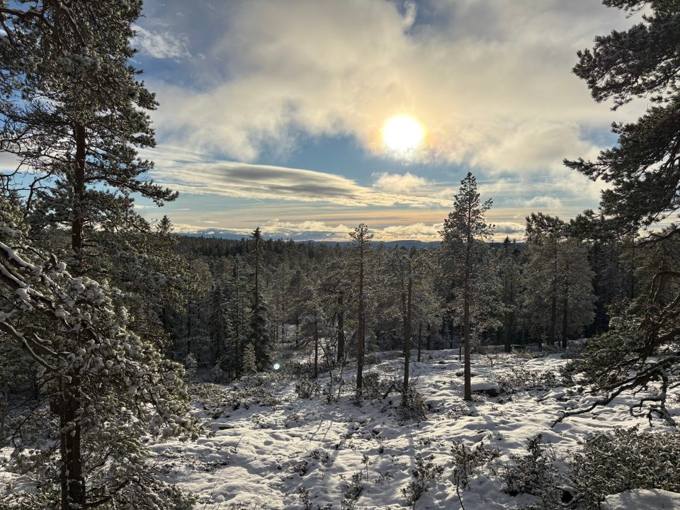 Schweden - Bjästa - 