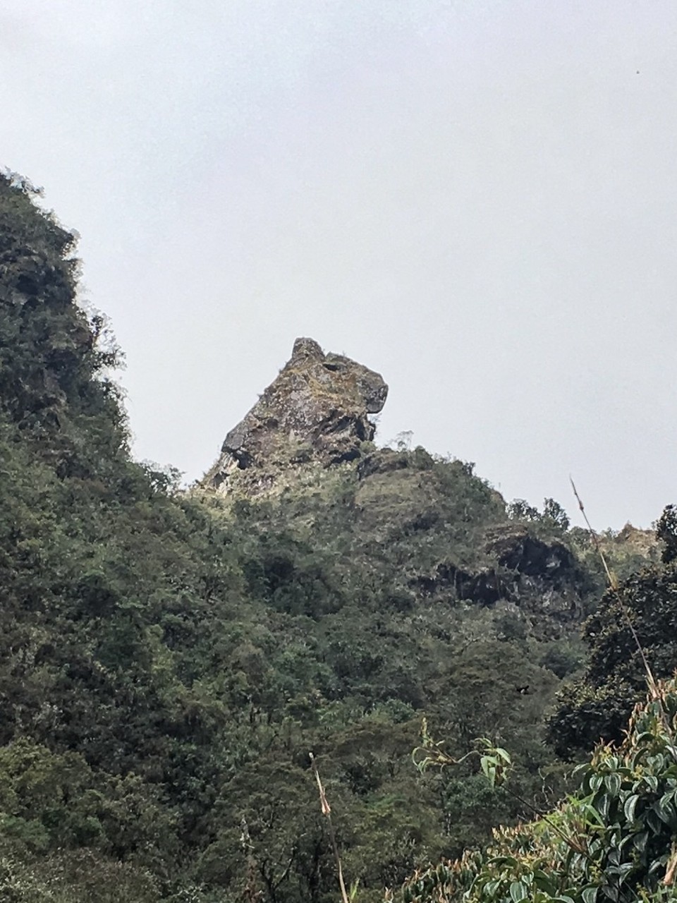 Peru - unbekannt - passend zur peruanischen Kulinarik ein Fels in Form eines Meerschweinchens