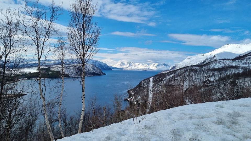 Norwegen - Jøkelfjord - 