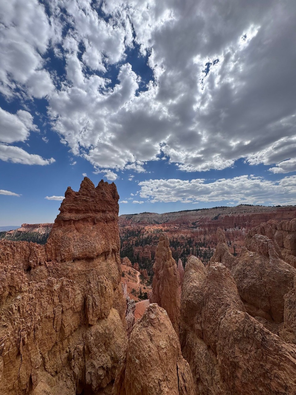Vereinigte Staaten - Bryce Canyon - Mier sind ufem Sunset Campground. Deh esch im Nationalpark und mega nöch ah de Hoodoos (das sind die Felse im Canyon). Nachem Zmittag simmer los glaufe zu de Hoodoos und hend en Trail gmacht, wo mier ih Canyon abe glaufe sind und en Rundi gmacht hend.☺️😊