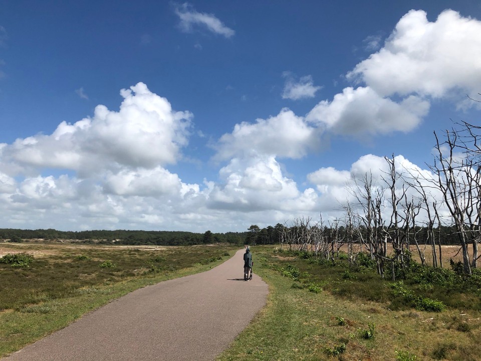 Niederlande - Schoorl - 