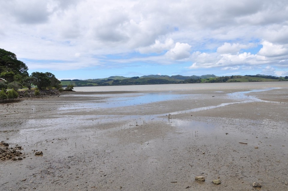 Neuseeland - Mangonui - Ebbe vor unserem Airbnb