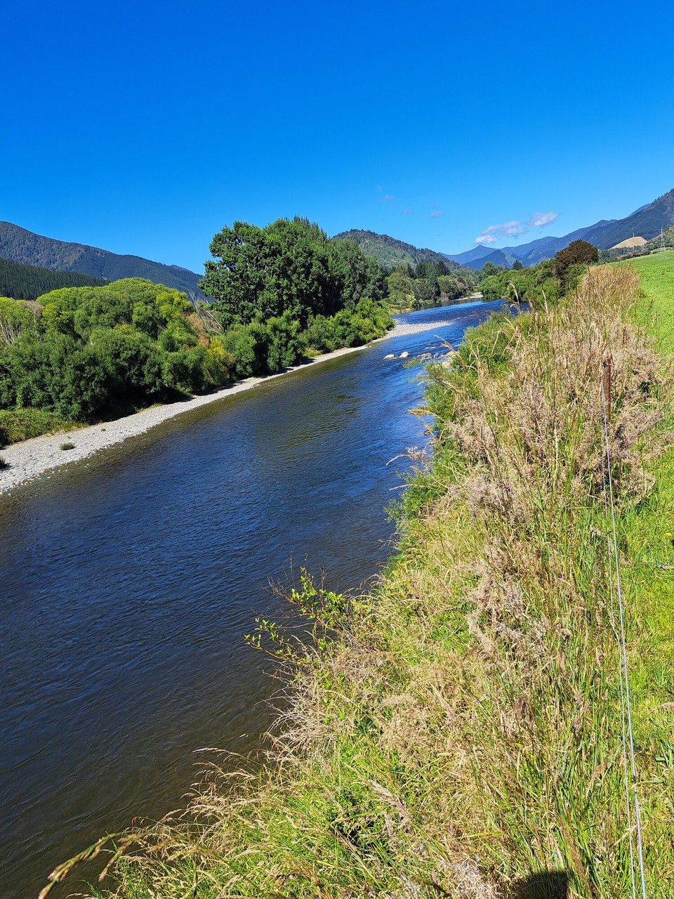 Neuseeland - Pelorus Bridge - 