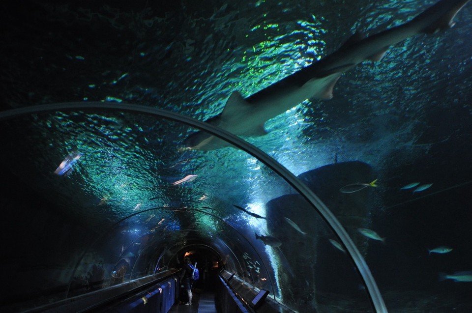 Neuseeland - Auckland - 