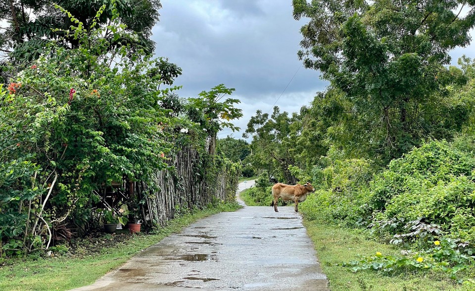 Philippinen - San Juan (Phlippinen) - 