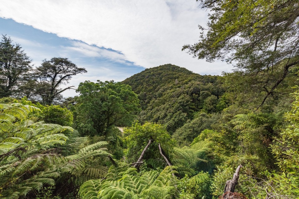 Neuseeland - Marahau - 