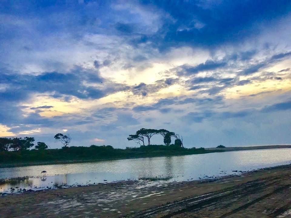 Sri Lanka -  - 