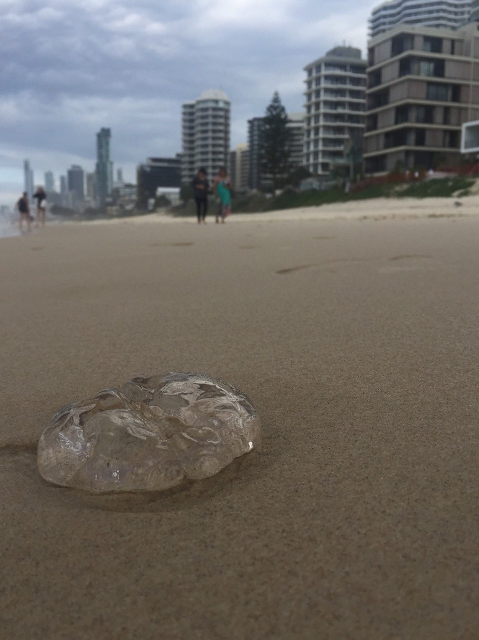  - Australia, Main Beach, Gold Coast - 