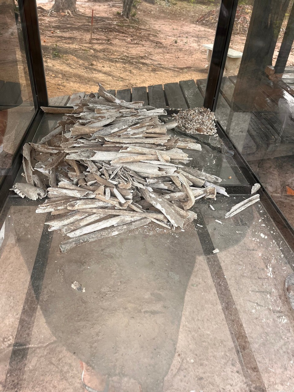 Cambodia - Phnom Penh - Bones still arising from the grounds here - the audio speaker said this may be because they can’t rest, so sad 