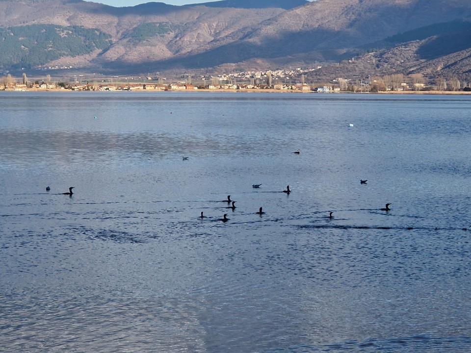 Griechenland - Kastoria - 