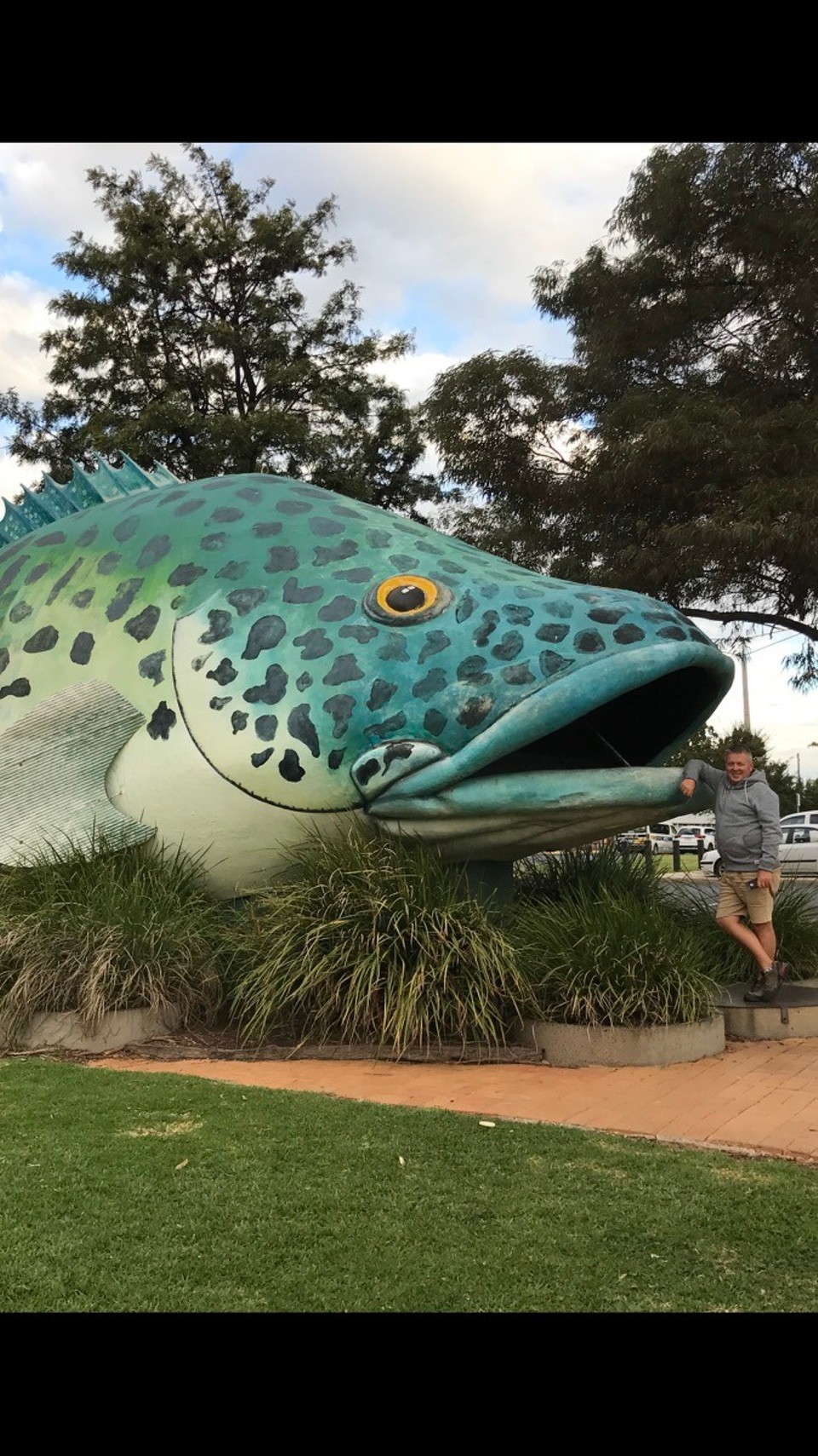 Australia - Swan Hill - So close to a Murray cod!!