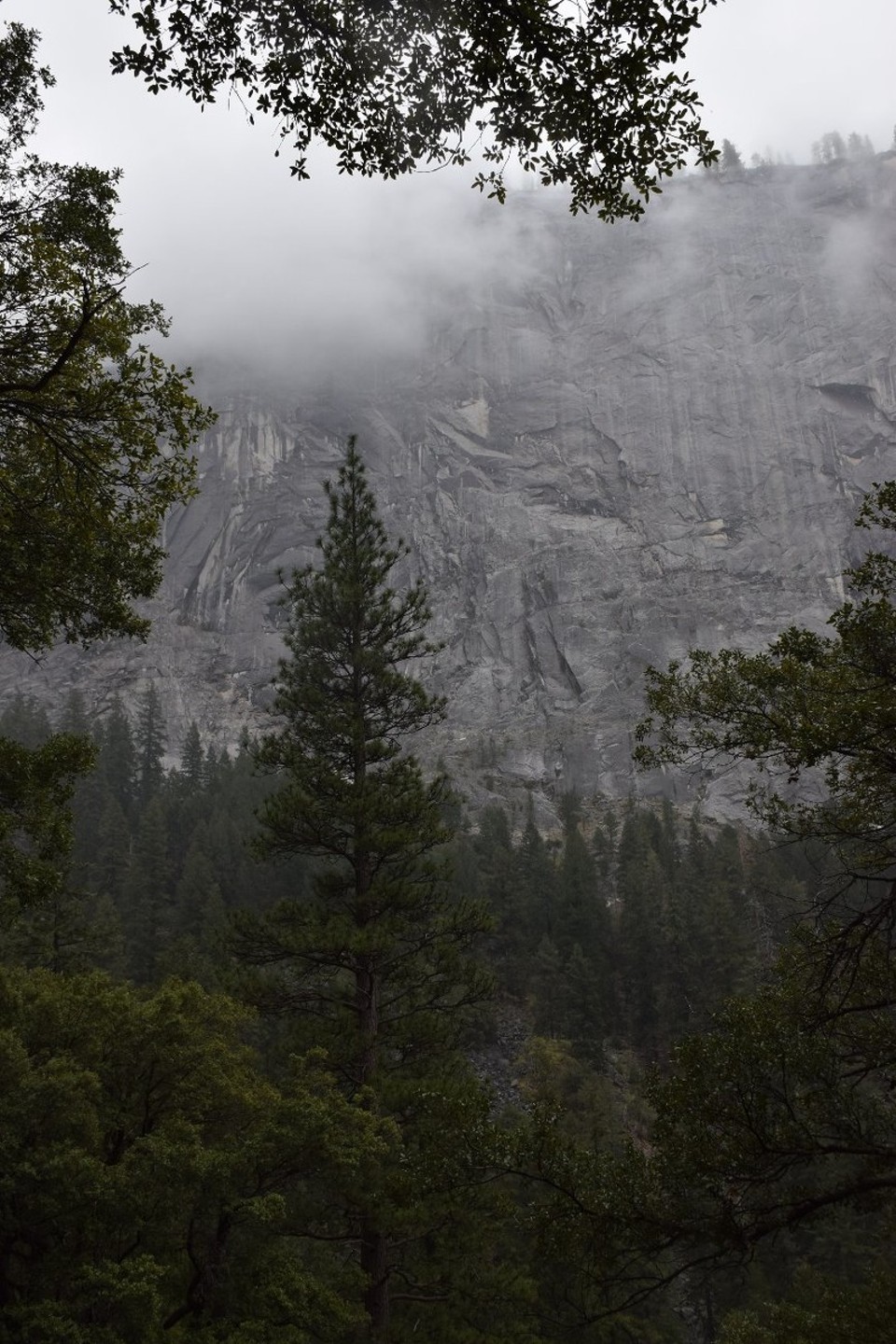 USA - Yosemite-Nationalpark - 