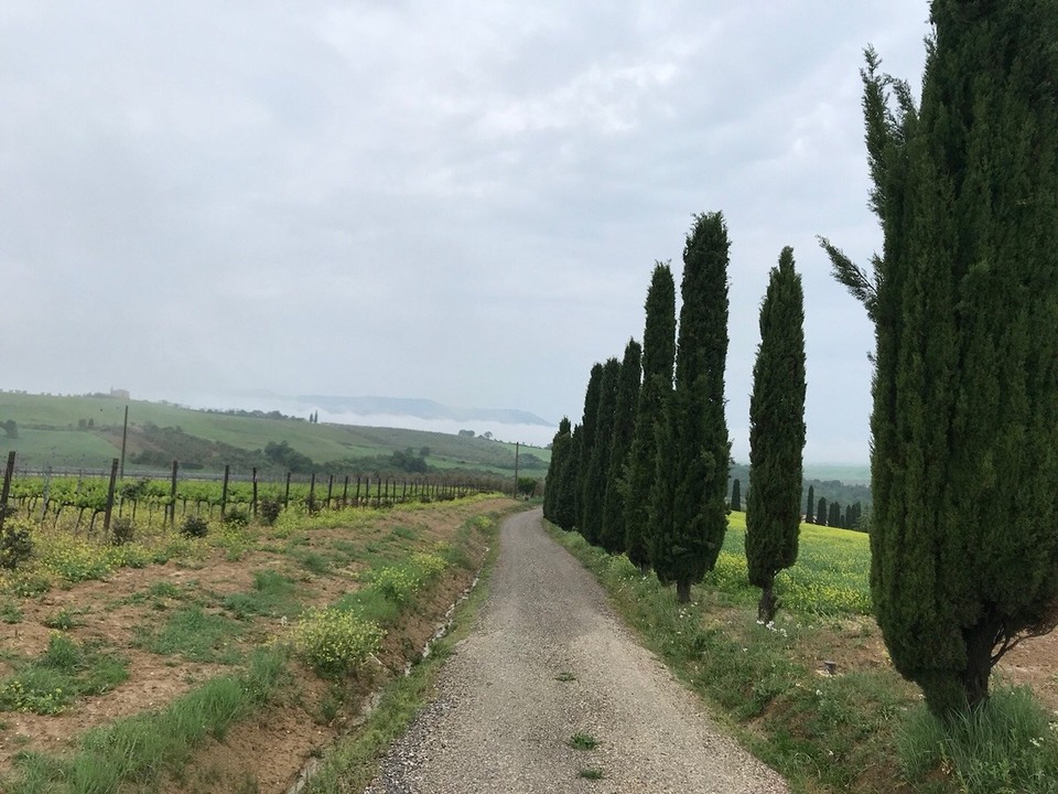 Italien - San Quirico d'Orcia - Auf dem Weg zu einer tollen Unterkunft