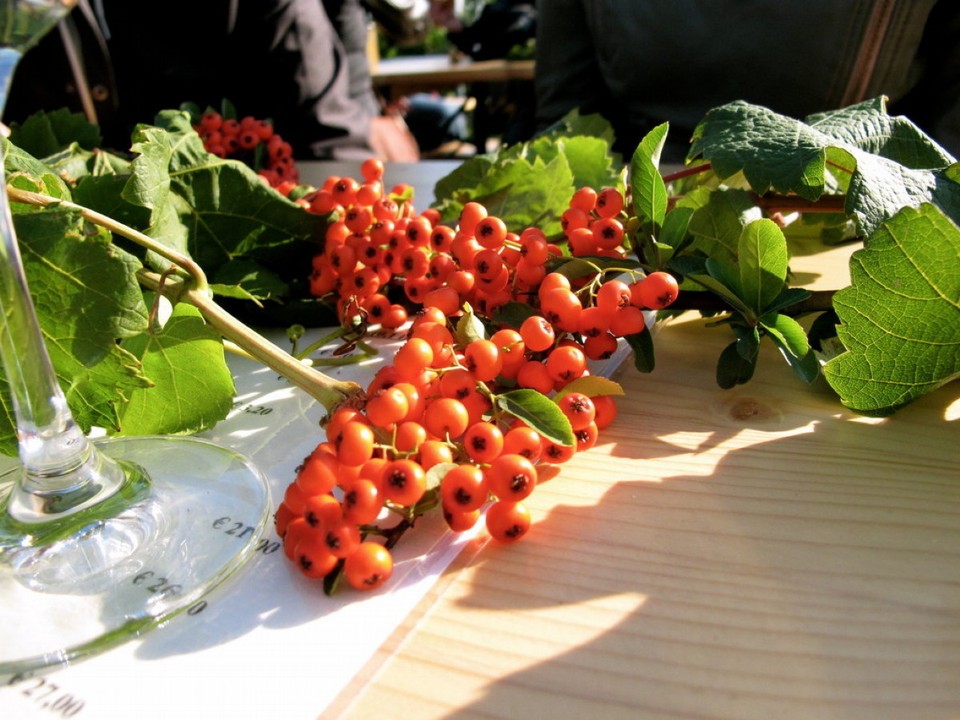 Deutschland - Geisenheim - 