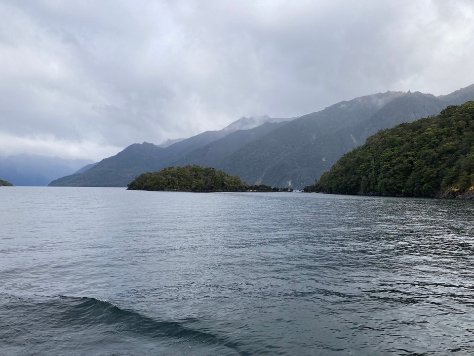 Neuseeland - Fiordland National Park - Inseln schauen