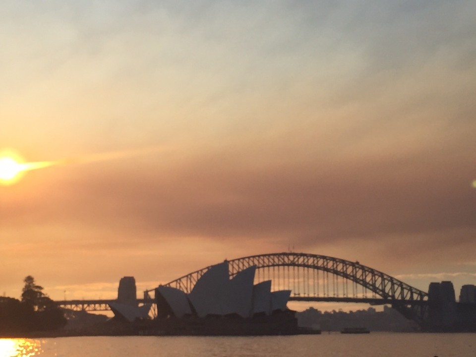 Australien - Sydney - Sonnenuntergang im botanischen Garten 🌳🌅 