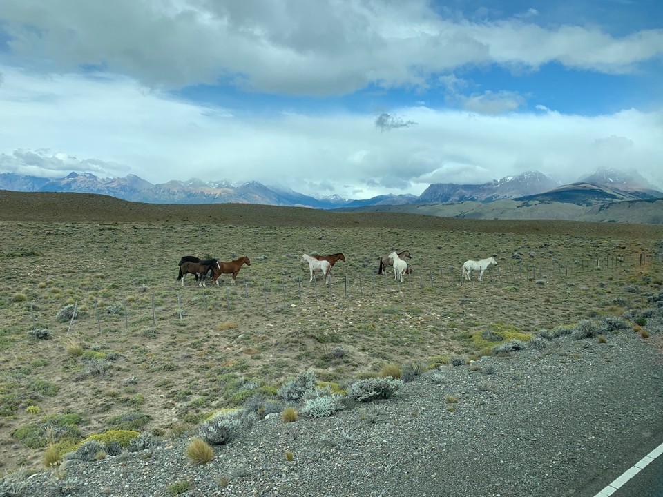 Argentinien - El Calafate - 