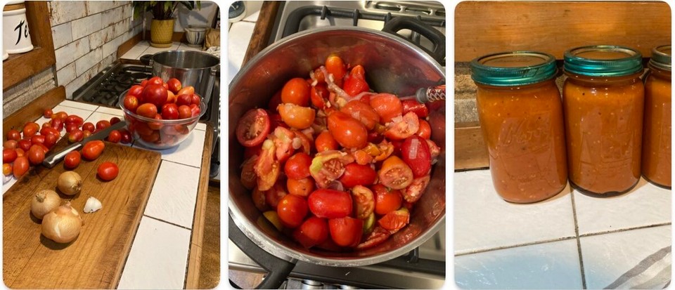 Neuseeland - Whangarei Heads - Nach der ganzen Aktivität noch Tomaten gepflückt und eingekocht 😃