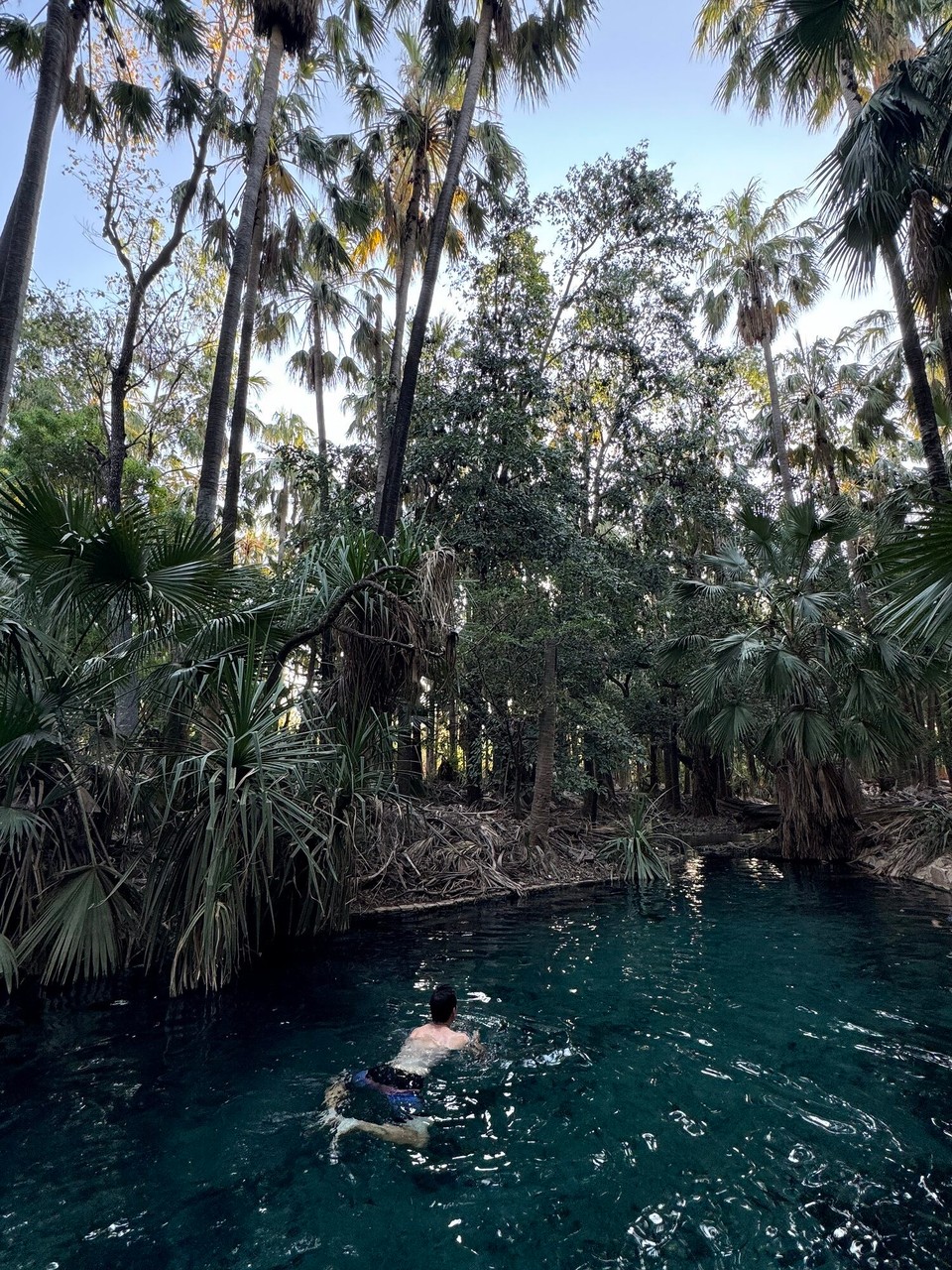 Australien - Mataranka - 