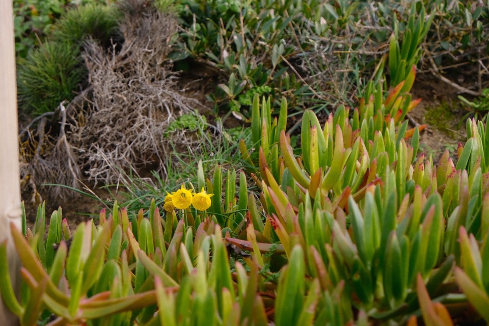 Portugal - Aljezur - 
