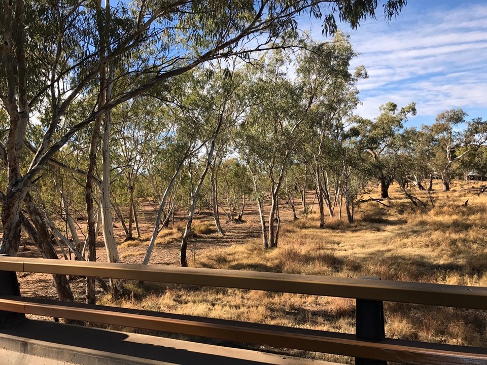 Australia - Alice Springs - This is the Todd river in all its glory !