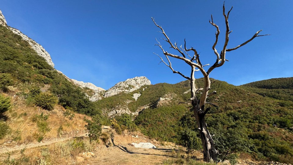 Montenegro - Budva - Der Baum hätte uns schon eine Warnung sein sollen. Unser Nächstes Ziel war nur über eine einspurige Schotterpiste im Gebirge erreichbar.
Es war eine sehr abenteuerliche Fahrt.