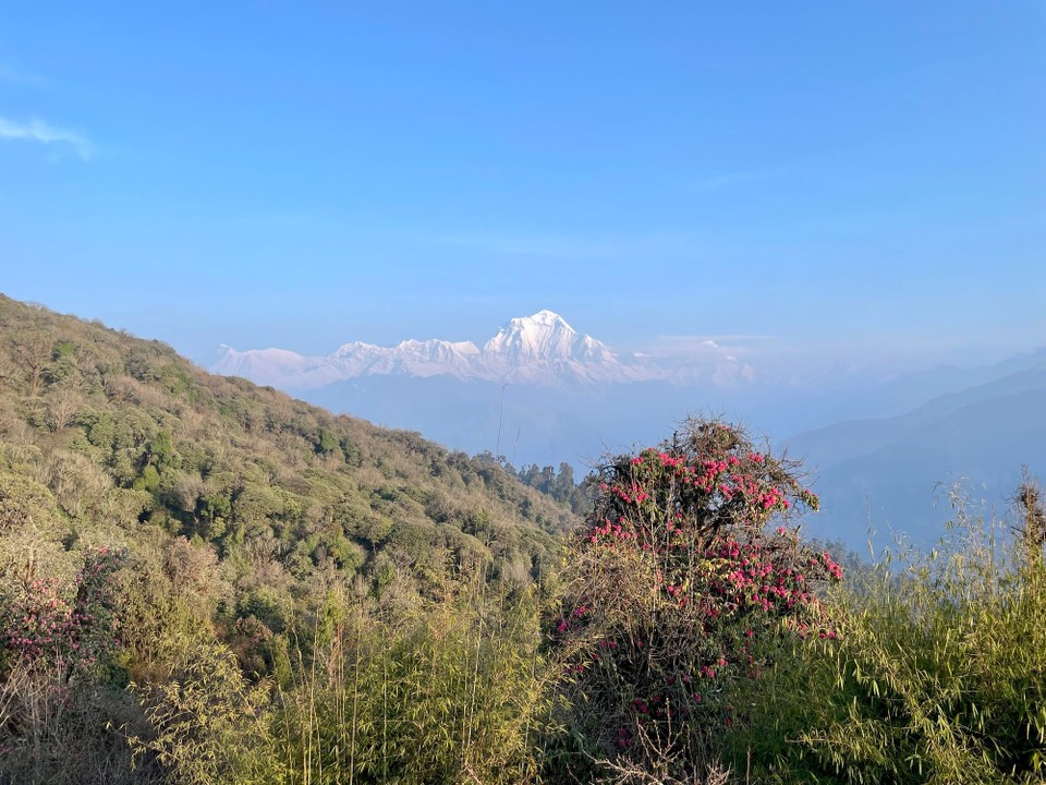 Nepal -  - 