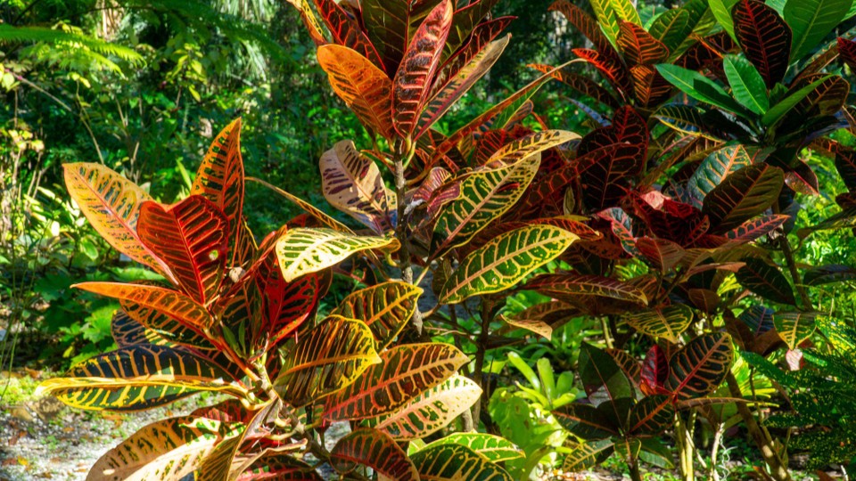 USA - Daytona Beach - 