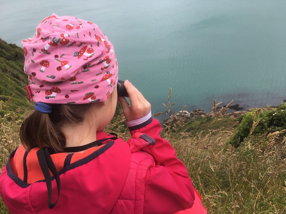 Neuseeland - Ahuriri Flat - Heute habe ich 27 Seelöwen gesehen!