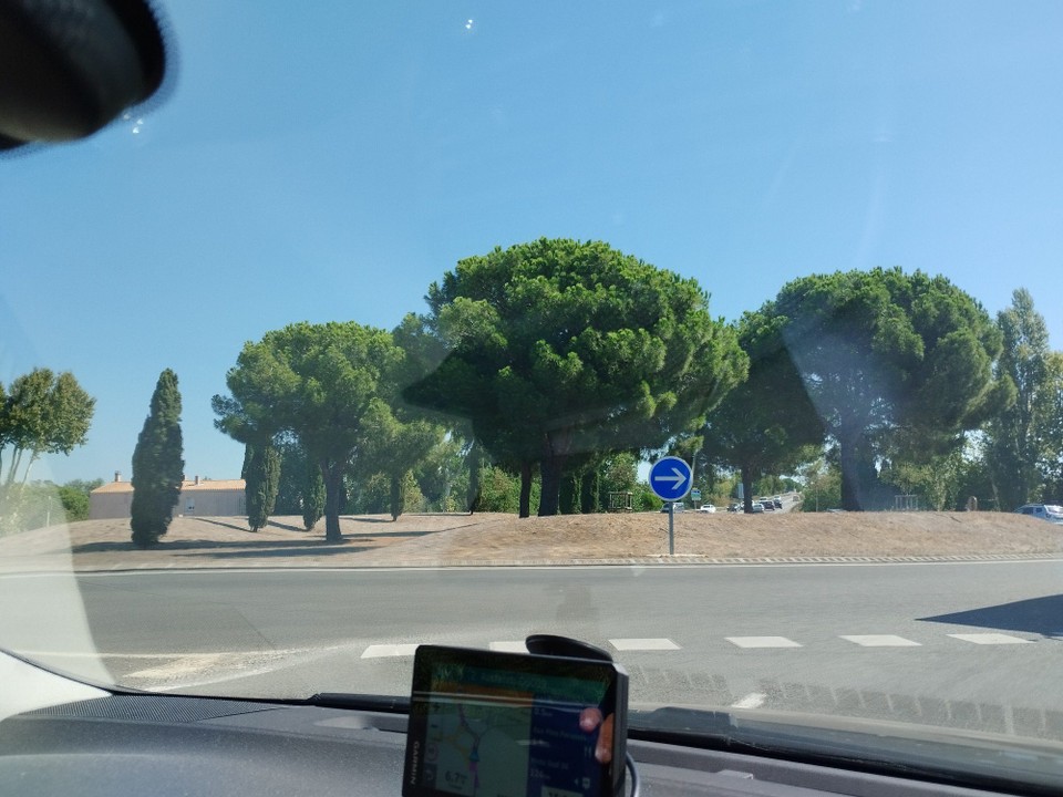 Frankreich - Avignon - 