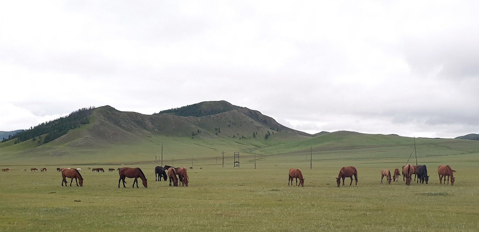 Mongolia - Erdenet - View from the final Ger hotel (before it rained all night)