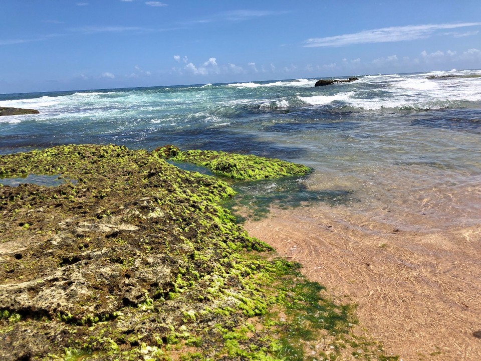 Brasilien - Salvador - Ebbe