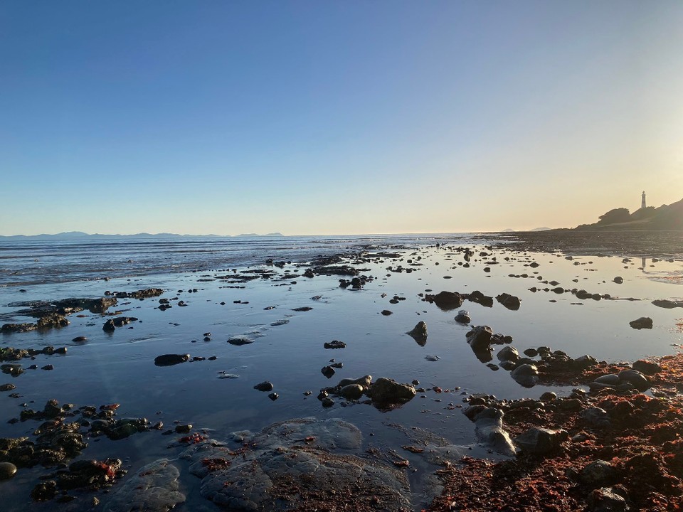 Neuseeland - Seddon - 