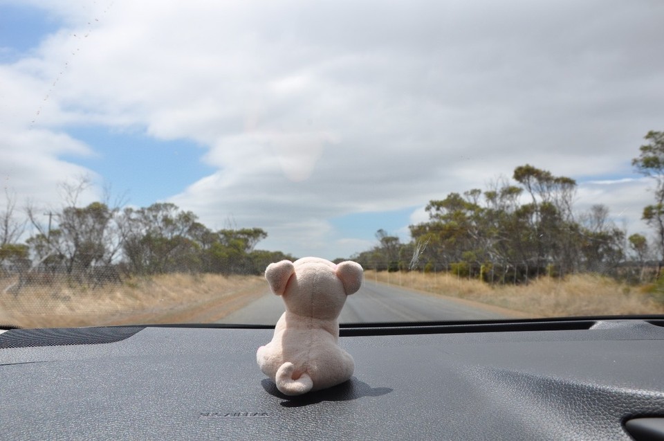 Australien - Esperance - Auf der Fahrt von Albany nach Esperance