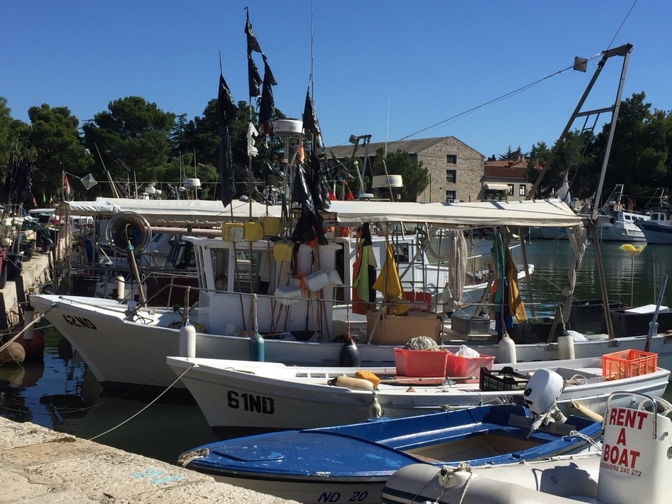 Kroatien - Novigrad - Fischerboote im Hafen